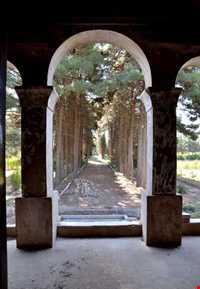 باغ امیرآباد