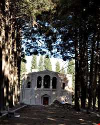 باغ امیرآباد