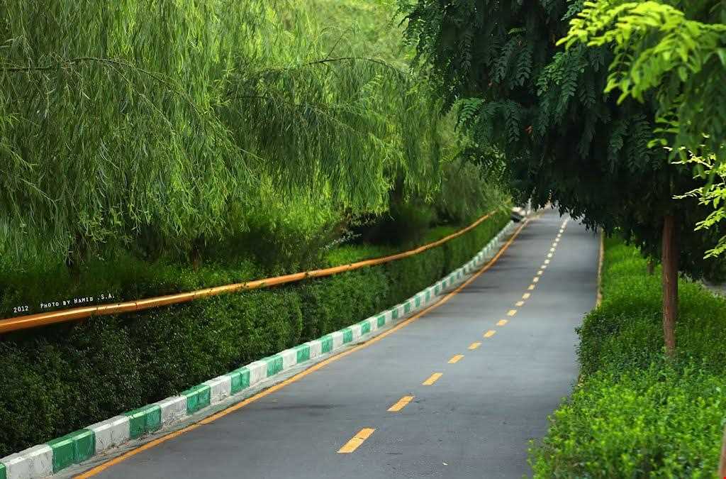 بوستان نهج‌البلاغه