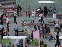 بوستان نهج‌البلاغه