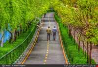 بوستان نهج‌البلاغه