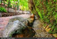 بوستان نهج‌البلاغه