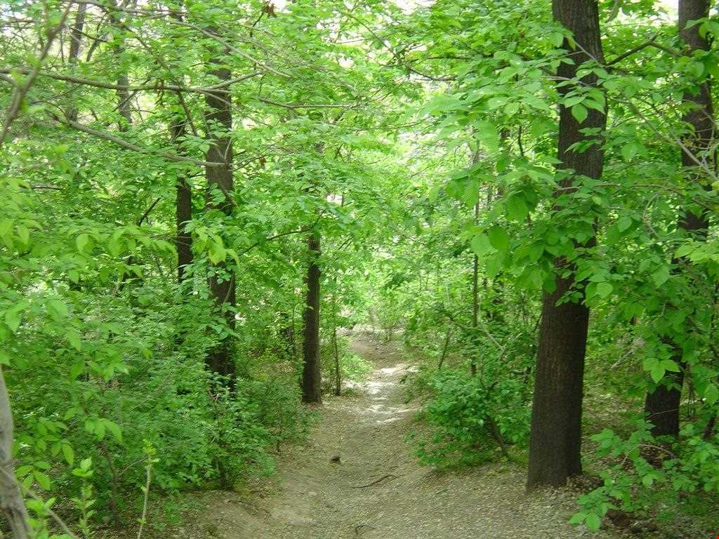 بوستان طالقانی