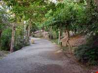 بوستان طالقانی