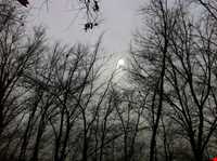 بوستان طالقانی