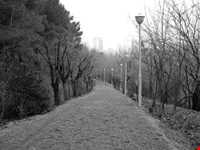 بوستان طالقانی