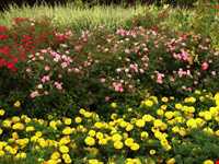 بوستان طالقانی