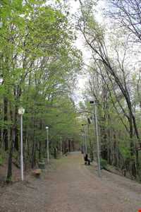 بوستان طالقانی