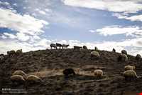 سد خاکی روستای عبدل آباد