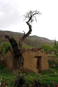 روستای طبر