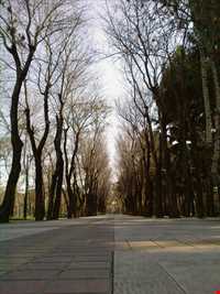 بوستان فدائیان اسلام