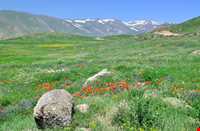 Golestan  Valley