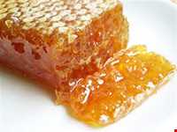 عسل و سرشیر