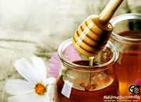 عسل و سرشیر