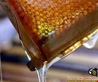 عسل و سرشیر