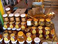 عسل و سرشیر