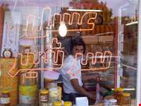 عسل و سرشیر