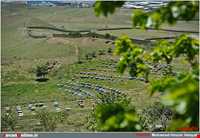 عسل و سرشیر