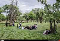 مراسم پنجاه به در