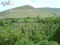 روستای سنگان سفلی