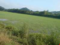 روستای پرشکوه