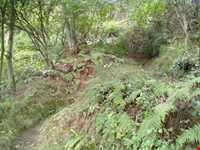 روستای پرشکوه