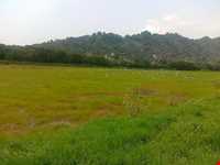 روستای پرشکوه