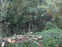 روستای پرشکوه