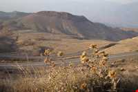 منطقه شکار ممنوع طارم سفلی