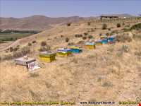 روستا و آبشار ماهین