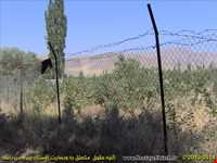 روستا و آبشار ماهین