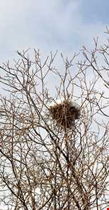 روستا و آبشار برگ جهان