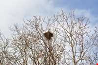Barg-e Jahan Village And Waterfall