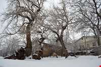 Barg-e Jahan Village And Waterfall