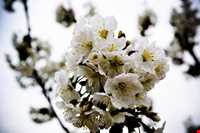 Barg-e Jahan Village And Waterfall