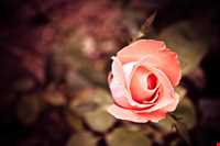 Barg-e Jahan Village And Waterfall