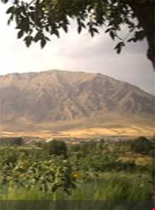 دهستان ویژنان