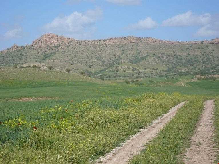 دهستان ویژنان