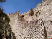 دهستان ویژنان