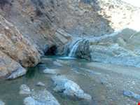 دهستان ویژنان