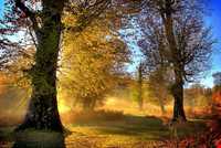 روستای مازیچال