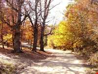 روستای مازیچال