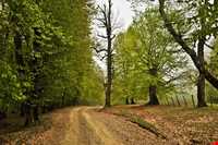 روستای مازیچال