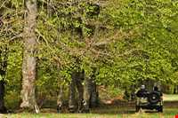 روستای مازیچال