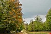 روستای مازیچال