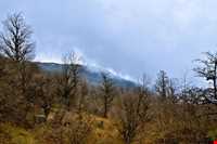 روستای مازیچال