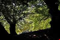 روستای مازیچال