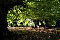 روستای مازیچال