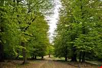 روستای مازیچال