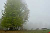 روستای مازیچال